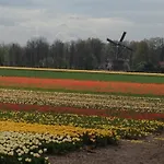 De Vier Seizoenen 4*