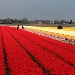 De Vier Seizoenen