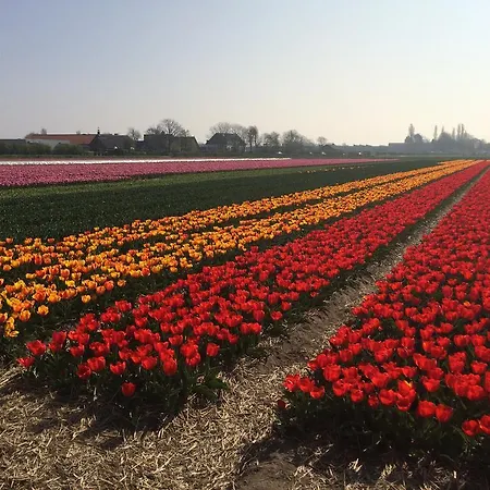 De Vier Seizoenen Nocleg ze śniadaniem Lisse