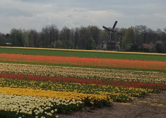 De Vier Seizoenen 4*