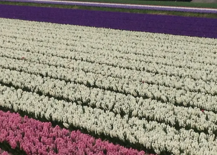 فندق مبيت وإفطار Bed & Breakfast De Vier Seizoenen