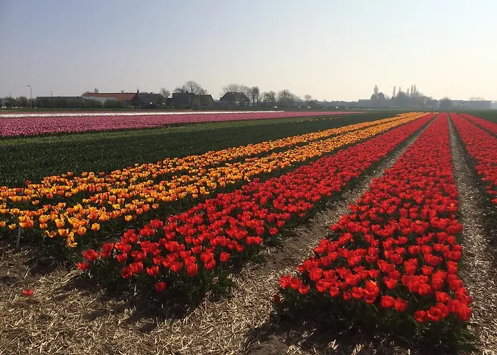 De Vier Seizoenen Frühstückspension Lisse
