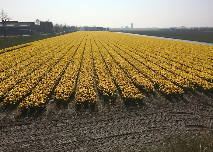Frühstückspension De Vier Seizoenen