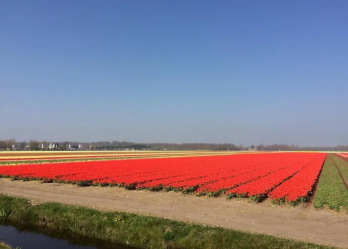 Bed & Breakfast De Vier Seizoenen 4*