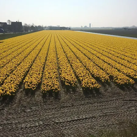 Nocleg ze śniadaniem De Vier Seizoenen