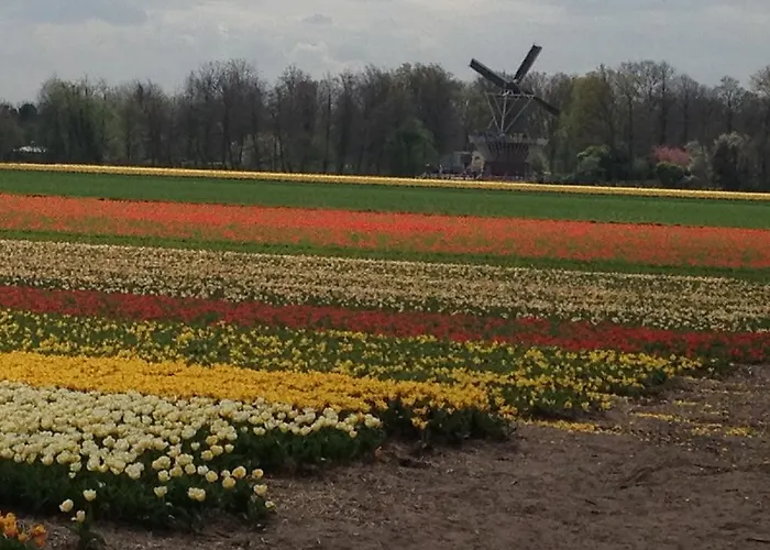 De Vier Seizoenen 4*